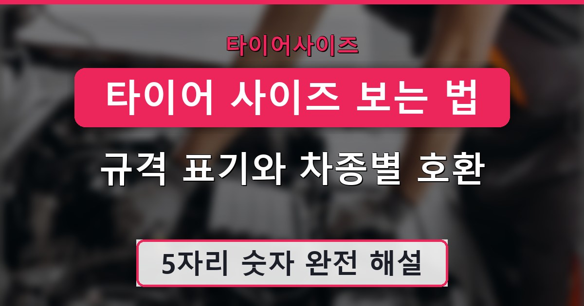 타이어 사이즈 보는 법 - 규격 표기와 차종별 호환 가이드