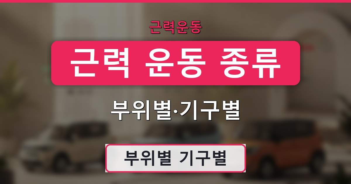 근력 운동 종류 - 부위별·기구별 정리